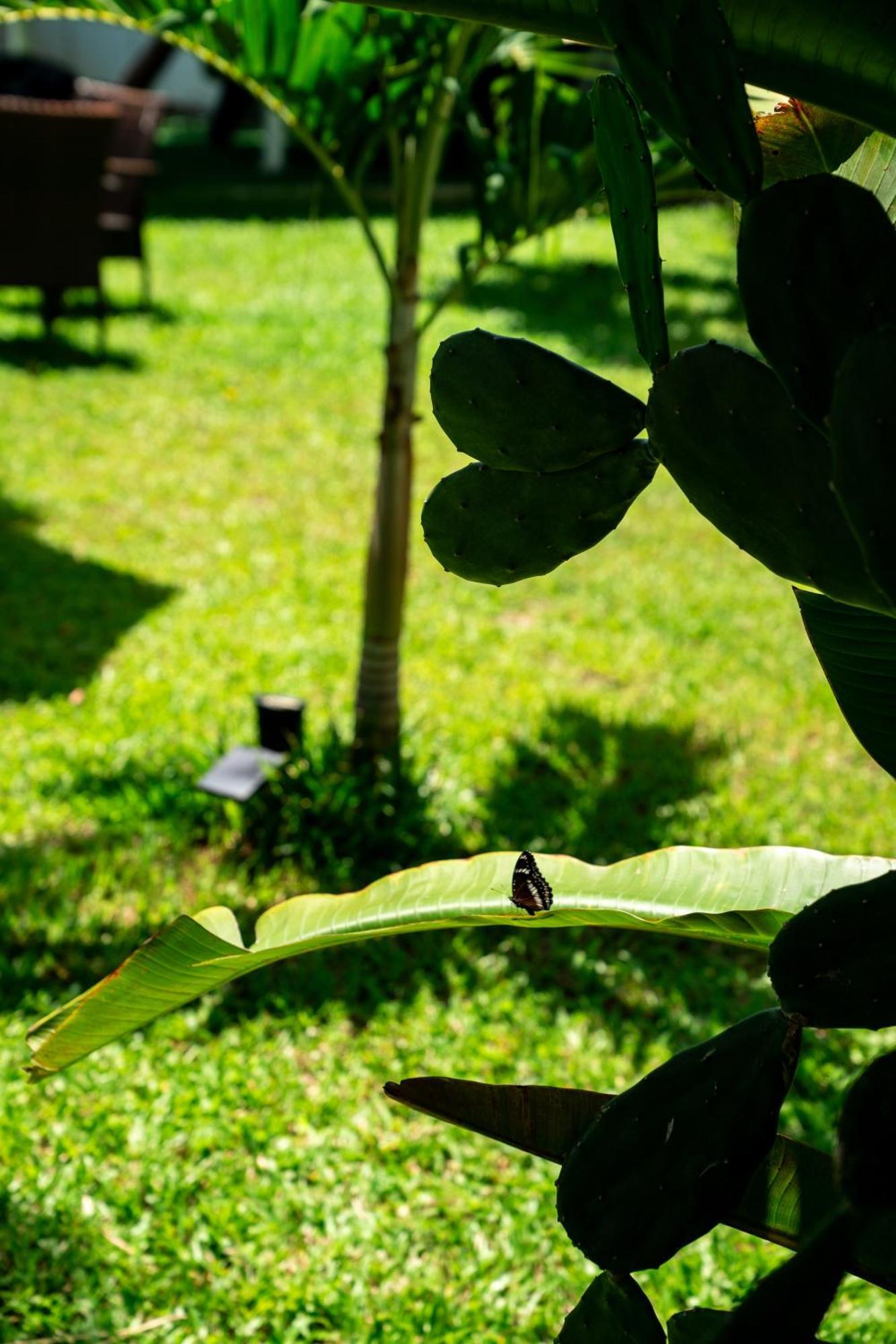 Koh Samui Resort & Restaurant Taling Ngam Beach エクステリア 写真